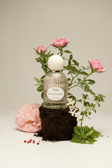 Hoss Intropia Hoss Intropia Rain and Flowers Eau De Parfum Rosa